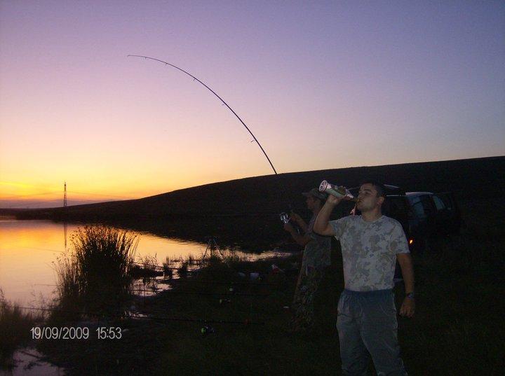 diverse - 1804191669044833573611904919n.jpg